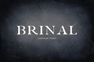 Brinal: A Serif Font That Adds Playful Charm to Your Creative Projects