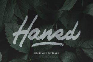 Haned: A Script Handwritten Font for Creative Campaigns