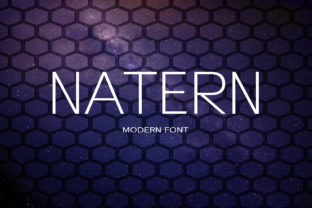 Natern: A Bold Sans Serif Font for Modern Branding