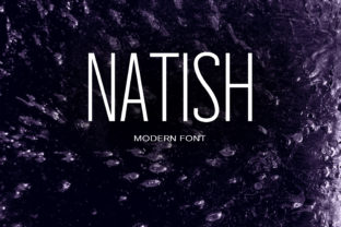 Natish: A Modern Sans Serif Font for Digital Design Excellence