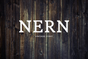 Nern: A Serif Font for Modern Web Design