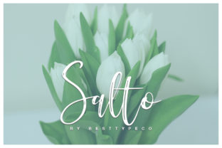 Salto: The Script Font That Elevates Your Campaigns