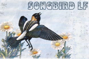Songbird LF: A Decorative Font for Music-Inspired Branding