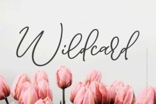 Wildcard: The Font That Turns Campaigns into Art