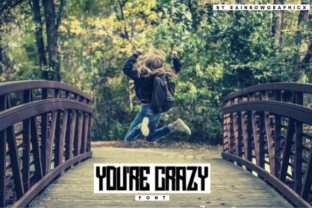 You re Crazy for Modern Web Design